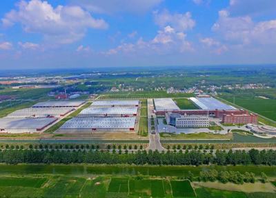 連云港灌南:食用菌全產業鏈 為鄉村振興蓄能