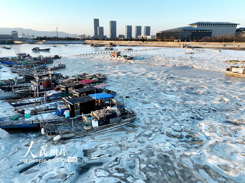 江蘇連云港強寒潮來襲，海岸現大面積冰凌奇觀