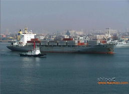 連云港進(jìn)口報(bào)關(guān)行服務(wù)全解析