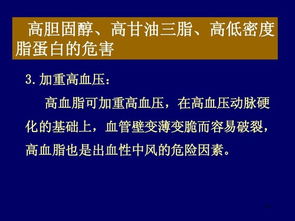 營養(yǎng)科技雙驅(qū)動 功能食品與招生服務(wù)如何助力健康與學業(yè)