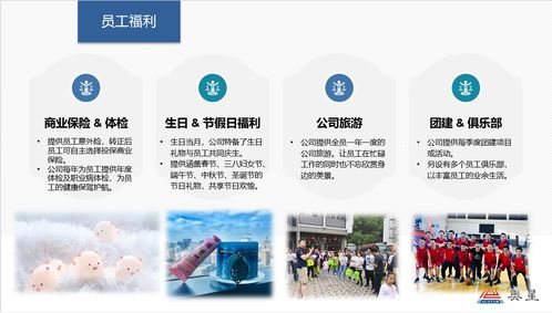 奧星集團2020年招生簡章與專業輔助服務說明