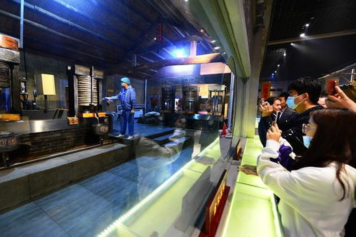 道不盡齊魯糧油好 走進山歌，聽百年油坊唱響的時代新韻